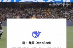 52岁里瓦尔多长传策动,50岁盖兹卡-门迭塔人球分过后轰出世界波